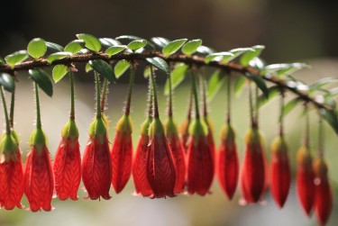 中山古镇1私人快速借钱网，轻松解决资金难题
