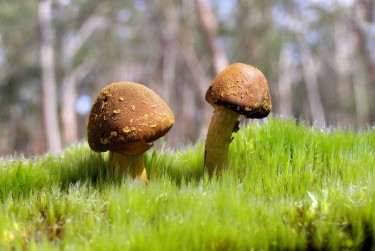 中山古镇1私人老板放款：轻松融资的秘密通道